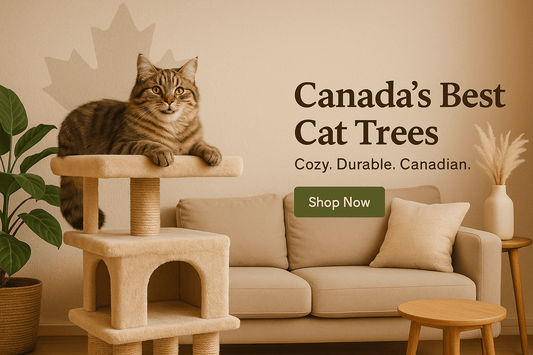 Small Space, Big Purrs: Finding the Perfect Cat Tree for Apartment Living - Cat Tree