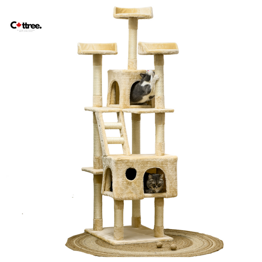 Cat tree with multiple levels and a cat inside, featuring the Cottree brand.