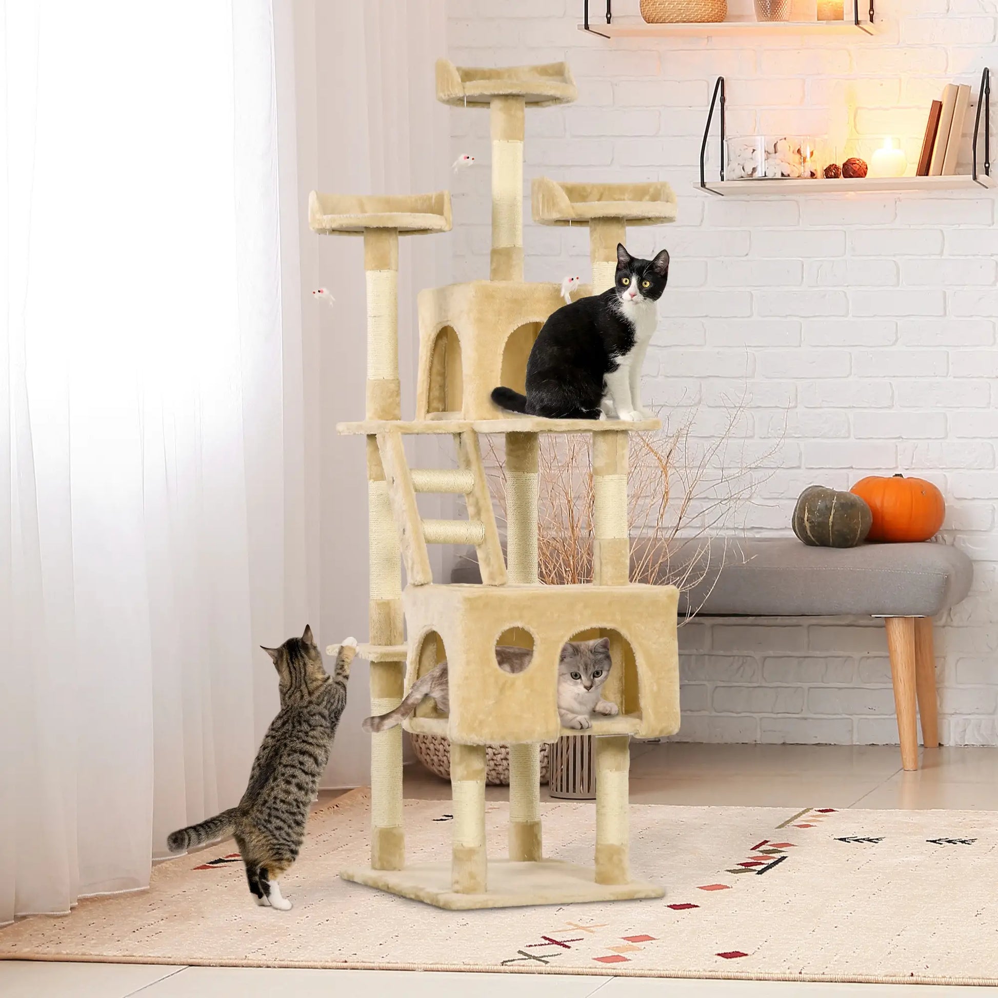 canada cat tree