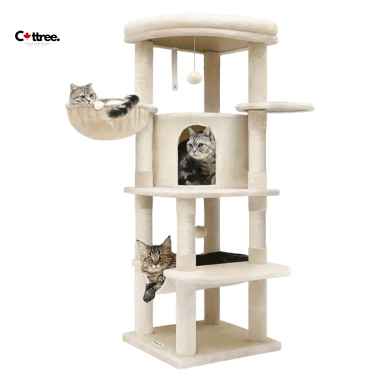 cat climbing tree
