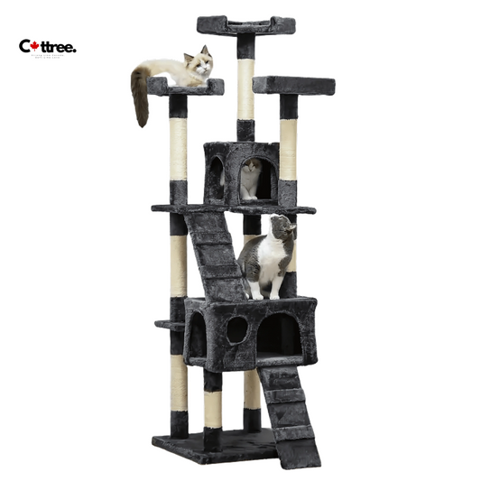 cattree